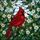 Nature Lovers' Vibrant Red Cardinal Tiffany Stained Glass Art Intricate Foliage Stained Glass Suncatcher - 6