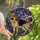 German Shepherd Lovers' Vibrant Tiffany Stained Glass Gold Tan Black Purple Teal Mosaic Canine Art Stained Glass Suncatcher - gF2e3YXbXv