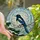 Nature Lovers' Iridescent Stained Glass Magpie Winter Teal Blue Mosaic Art Stained Glass Suncatcher - FWmHBojt4y