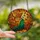 Fantasy Art Lovers' Tiffany Stained Glass Autumn Fairy Amber Wings Emerald Teal Pumpkins Stained Glass Suncatcher - 2
