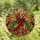 Devotional Art Lovers' Tiffany Stained Glass Angel Golden Trumpet Ornate Red Gold Emerald Celestial Mosaic Stained Glass Suncatcher - _eH99hDBPb