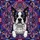 Dog Lovers' Vibrant Boston Terrier Stained Glass Art, Intricate Geometric Abstract Mosaic in Black White Indigo Pink Brown Stained Glass Suncatcher - 6