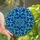 Design Enthusiasts' Intricate Tiffany Blue Geometric Interlocking Star Mosaic Stained Glass Suncatcher - 1