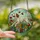 Dog Lovers' Tiffany Stained Glass Leaping English Setter Wildflower Meadow Jewel Tones Stained Glass Suncatcher - H3ilksyhl_