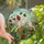 Dog Lovers' Tiffany Stained Glass Leaping English Setter Wildflower Meadow Jewel Tones Stained Glass Suncatcher - y57QuiuwPk