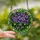 Floral Art Lovers' Vibrant Tiffany Stained Glass African Violet Gigi Name Jewel Tone Art Stained Glass Suncatcher - 2