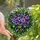 Floral Art Lovers' Vibrant Tiffany Stained Glass African Violet Gigi Name Jewel Tone Art Stained Glass Suncatcher - 1