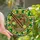 Foodie Art Lovers' Edge-to-Edge Stained Glass Pho Ramen Noodle Emerald Green Saffron Yellow Intricate Mosaic Pattern Stained Glass Suncatcher - HGSJCH6BUY