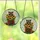 Wildlife Art Enthusiasts' Tiffany Style Raccoon Sunflower Jewel Tone Mosaic Stained Glass Suncatcher - 3