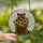Wildlife Art Enthusiasts' Tiffany Style Raccoon Sunflower Jewel Tone Mosaic Stained Glass Suncatcher - 2
