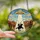 Western Sci-Fi Art Enthusiasts' Stained Glass Cowboy UFO Abduction Desert Mosaic Jewel Tones Stained Glass Suncatcher - p0_-2RAM-F