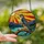 Nature Lovers' Majestic Peregrine Falcon Tiffany Glass Sunset Landscape Jewel Tones Stained Glass Suncatcher - VsbsG69duB