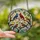 Nature Lovers' Detailed Stained Glass Songbirds Cherry Blossoms Jewel Tone Mosaic Stained Glass Suncatcher - 9BsVan7ZRK