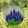 Nature Art Lovers' Tiffany Stained Glass Bluebonnet Floral Intricate Blue Purple Green Mosaic Stained Glass Suncatcher - Y9Wjv4uD7g