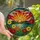 Art & Nature Lovers' Vibrant Tiffany Stained Glass Sunrise Mosaic, Dramatic Rays, Gerbera Daisies, Orange Yellow Blue Green Jewel Tones Stained Glass Suncatcher - 1
