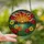 Art & Nature Lovers' Vibrant Tiffany Stained Glass Sunrise Mosaic, Dramatic Rays, Gerbera Daisies, Orange Yellow Blue Green Jewel Tones Stained Glass Suncatcher - 2