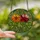 Art Lovers' High Contrast Stained Glass Floral Mosaic Glowing Orange, Red Blooms & Intricate Greenery Stained Glass Suncatcher - 2