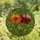 Art Lovers' High Contrast Stained Glass Floral Mosaic Glowing Orange, Red Blooms & Intricate Greenery Stained Glass Suncatcher - 4