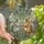 Fantasy Art Lovers' Intricate Tiffany Stained Glass Fairy Opossums Iridescent Amber-Grey Mosaic Stained Glass Suncatcher - 2FZromMP3H