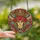 Southwestern Art Lovers' Vibrant Tiffany Style Stained Glass Bull Skull & Desert Flora Mosaic Stained Glass Suncatcher - rvV9vtaTHg