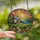 Art Enthusiasts' Vibrant Stained Glass Cottage Ocean Sunset Wildflower Mosaic Stained Glass Suncatcher - 3qiltVIX8Q