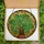 Botanical Art Lovers' Vibrant Emerald Golden Amber Stained Glass Monstera Mosaic Stained Glass Suncatcher - 5
