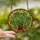 Botanical Art Lovers' Vibrant Emerald Golden Amber Stained Glass Monstera Mosaic Stained Glass Suncatcher - 2
