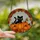 Autumn Cat Lovers' Whimsical Tiffany-Style Black Cat, Orange Pumpkins, Red Autumn Mosaic Stained Glass Suncatcher - 2