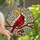Nature Lovers' Vibrant Tiffany Stained Glass Ruby Red Cardinal Springtime Bloom Mosaic Stained Glass Suncatcher - 1
