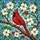 duiyfppz/products/693a6185ce803cff2b7e7813/gallery/8cs4Cmtqk2