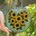 Nature Lovers' Intricate Tiffany Style Stained Glass Sunflower Heart Jewel Tone Floral Mosaic Stained Glass Suncatcher - 2SrEJfNnDf