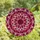 Art Lovers' Intricate Stained Glass Floral Mandala Ruby Pink Starburst Stained Glass Suncatcher - 4