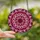Art Lovers' Intricate Stained Glass Floral Mandala Ruby Pink Starburst Stained Glass Suncatcher - 2