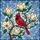 duiyfppz/products/693a62ae2353203dceee3e90/gallery/-khqObKEnK