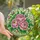 Women's Elegant Tiffany Stained Glass Pink Peony Emerald Green White Botanical Mosaic Art Stained Glass Suncatcher - 1