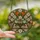 Art Enthusiasts' Tiffany Style Floral Book Emerald Green Rose Pink Amber Mosaic Stained Glass Suncatcher - 2