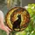 Celestial Cat Lovers' Intricate Tiffany Stained Glass Black Cat Crescent Moon Golden Star Orange Gold Teal Purple Stained Glass Suncatcher - 1