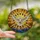 Art Lovers' Majestic White Dove Stained Glass Art, Radiant Sunburst Mosaic, Ruby Red Jewels, Tiffany Style Jewel Tones Stained Glass Suncatcher - jYjJm6rtJF