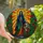 Mystical Aesthetic Lovers' Jewel Tone Stained Glass Skeletal Guardian Sunburst Pattern Stained Glass Suncatcher - 1
