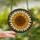 Nature Lovers' Detailed Stained Glass Radiant Sunflower Mosaic Golden Orange Amber Hues Stained Glass Suncatcher - 2