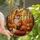 Nature & Art Lovers' Tiffany Stained Glass Fox Autumnal Forest Jewel Tone Pattern Stained Glass Suncatcher - 1