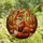 Nature & Art Lovers' Tiffany Stained Glass Fox Autumnal Forest Jewel Tone Pattern Stained Glass Suncatcher - 4