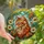 Cat Lovers' Tiffany Stained Glass Ginger Tabby Cat Blue Eyes Daisy Floral Orange Teal Yellow Stained Glass Suncatcher - 1