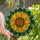 Nature Lovers' Vibrant Tiffany Stained Glass Sunflower Golden Yellow Orange Emerald Teal Mosaic Art Stained Glass Suncatcher - 1