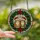 Cat Lovers' Festive Stained Glass Orange Tabby Cats Santa Hats Holly Wreath Design Stained Glass Suncatcher - 2