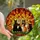 Cat Lovers' Radiant Stained Glass Nine Cats Tiffany Emerald Amber Geometric Edge-to-Edge Mosaic Stained Glass Suncatcher - 1