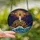 Coastal Art Lovers' Vibrant Tiffany Stained Glass Lighthouse Starry Ocean Mosaic Art Stained Glass Suncatcher - TOqMqsKTom