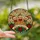 Holiday Lovers' Intricate Stained Glass Gingerbread Christmas Mosaic Ruby Red Emerald Green Golden Amber Pattern Stained Glass Suncatcher - 2