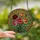 Floral Art Lovers' Intricate Red Pink Rose Tiffany Stained Glass Mosaic Design Stained Glass Suncatcher - 2