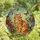 Cat Lovers' Fluffy Orange Tabby Stained Glass Art Vibrant Garden Floral Jewel Tone Mosaic Stained Glass Suncatcher - 4